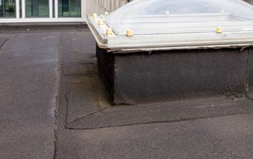 disadvantages of Buchanhaven flat roofs