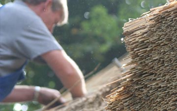 professional Buchanhaven thatchers